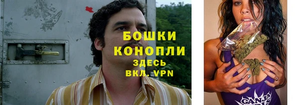 молекула духа Майский