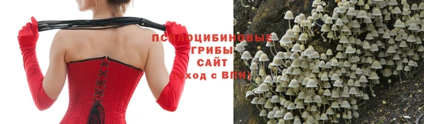 молекула духа Майский