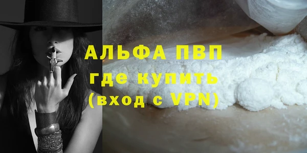 шишки Гатчина