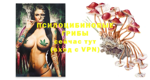 спиды Магадан