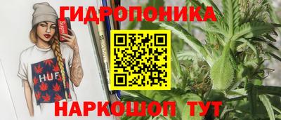 МДПВ Партизанск