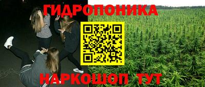 МДПВ Партизанск