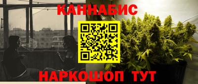 МДПВ Партизанск