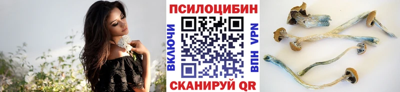 Галлюциногенные грибы прущие грибы Лиски