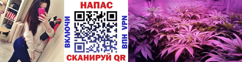 Каннабис White Widow Лиски